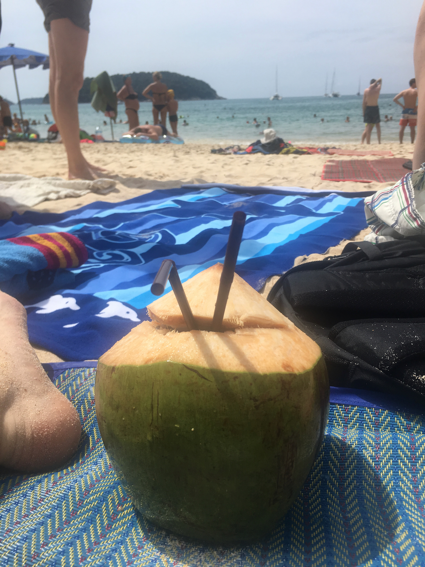 A coconut in Thailand